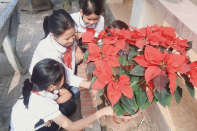 HƯỞNG ỨNG TẾT TRỒNG CÂY CỦA THẦY VÀ TRÒ TRƯỜNG TIỂU HỌC B THANH SƠN